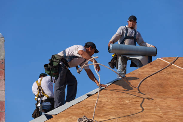 Best Flat Roof Repair Services  in Woodburn, IN