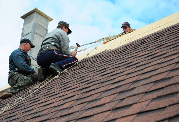 Best Roof Gutter Cleaning  in Woodburn, IN